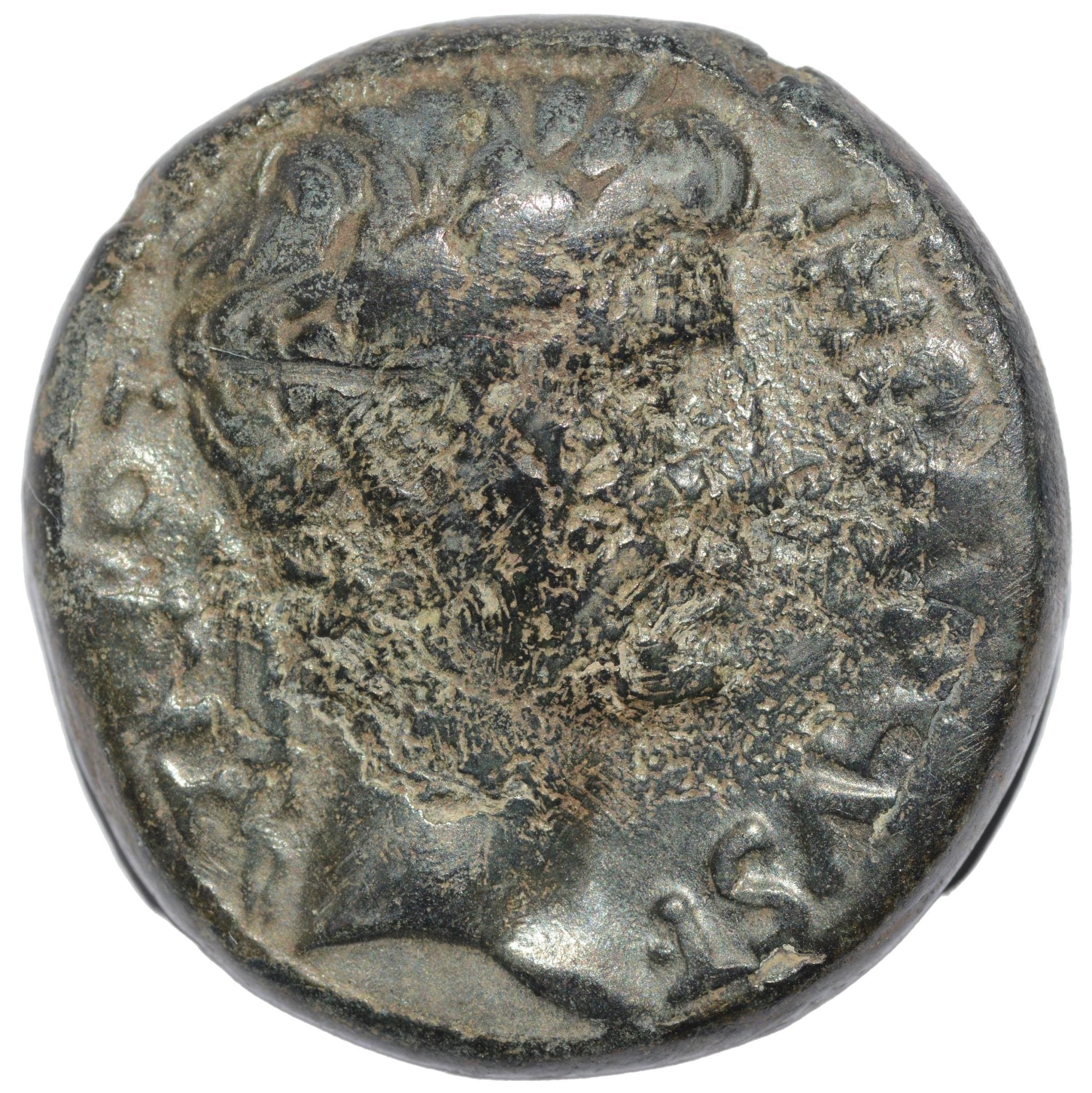 Augustus 27BC - 14AD AE As Provincial. Selucis & Piera Antioch - Premium Ancient Coins - As