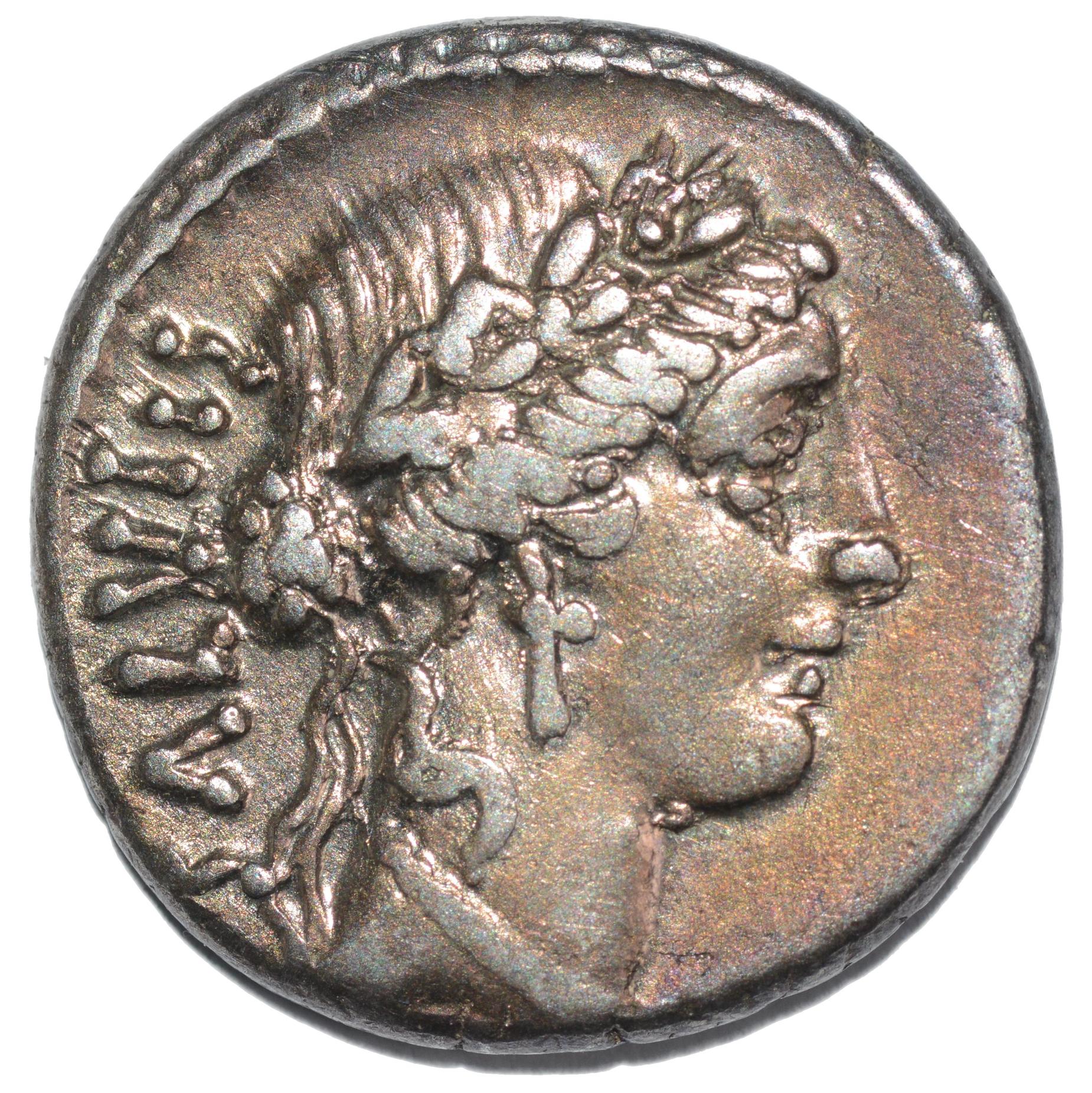 Man. Acilius Glabrio 49BC AR Denarius. Republican. Salus - Premium Ancient Coins - none