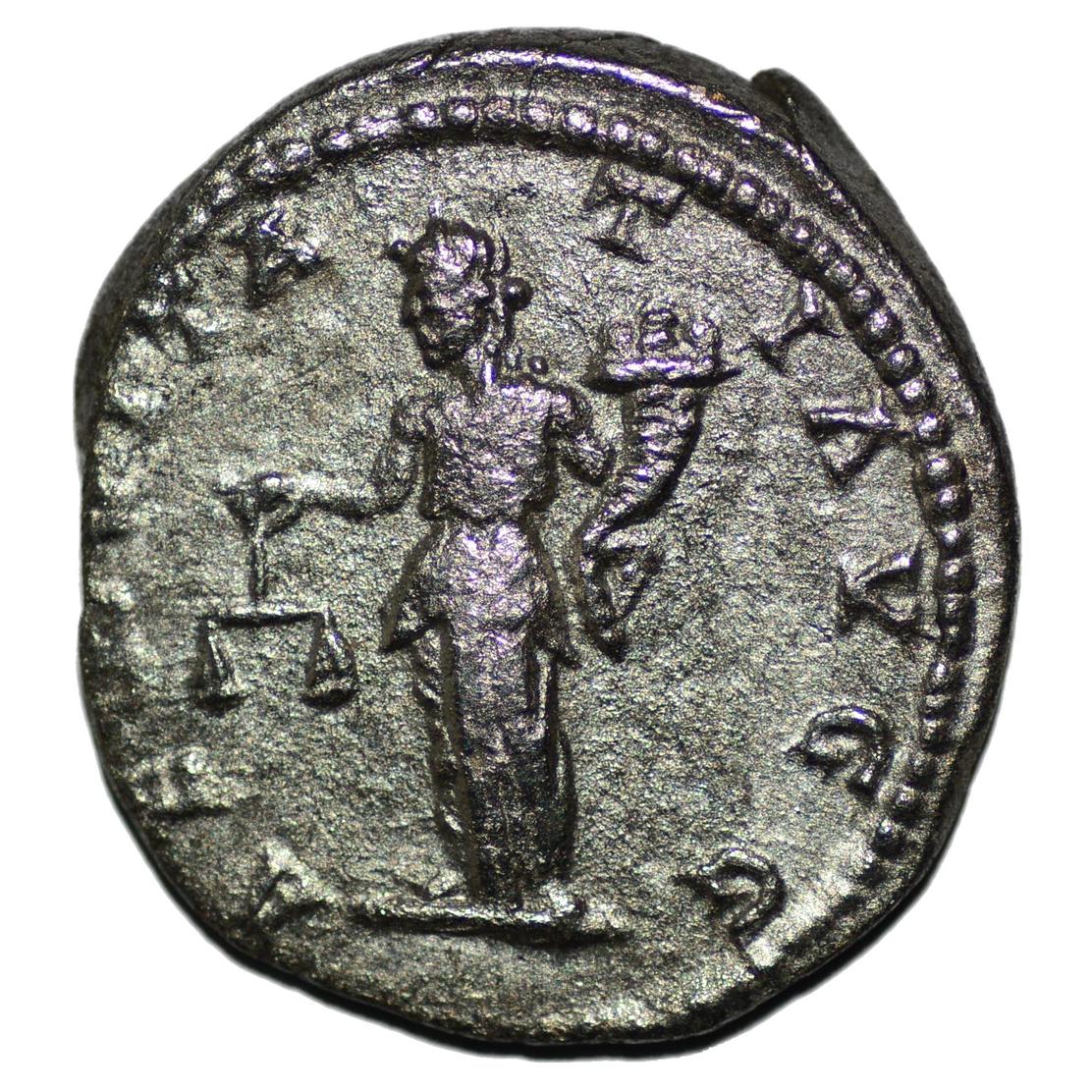 Septimius Severus 193 - 211AD AR Denarius. Laodicea ad Mare. Aequitas - Premium Ancient Coins - denarius