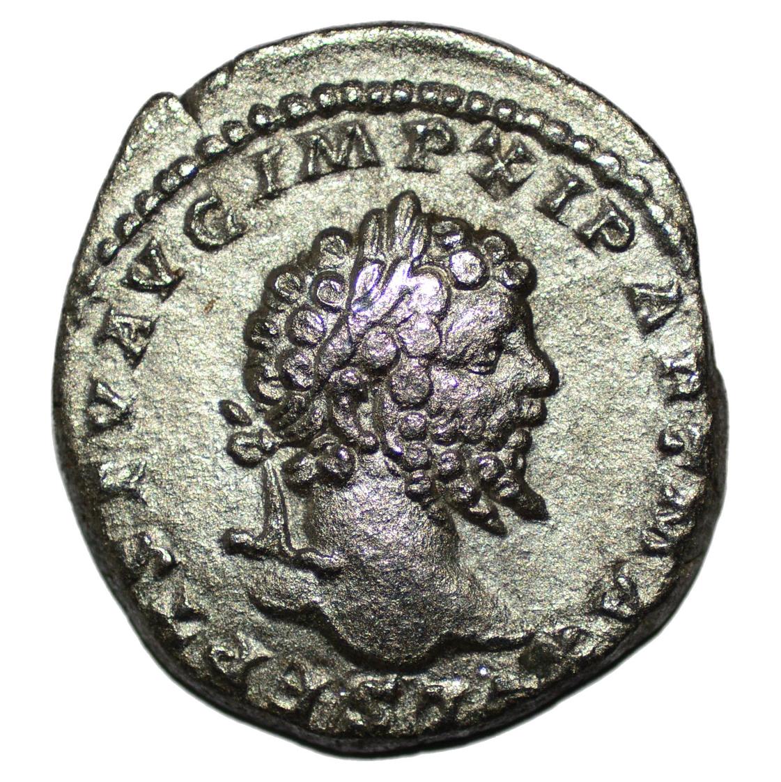 Septimius Severus 193 - 211AD AR Denarius. Laodicea ad Mare. Aequitas - Premium Ancient Coins - denarius