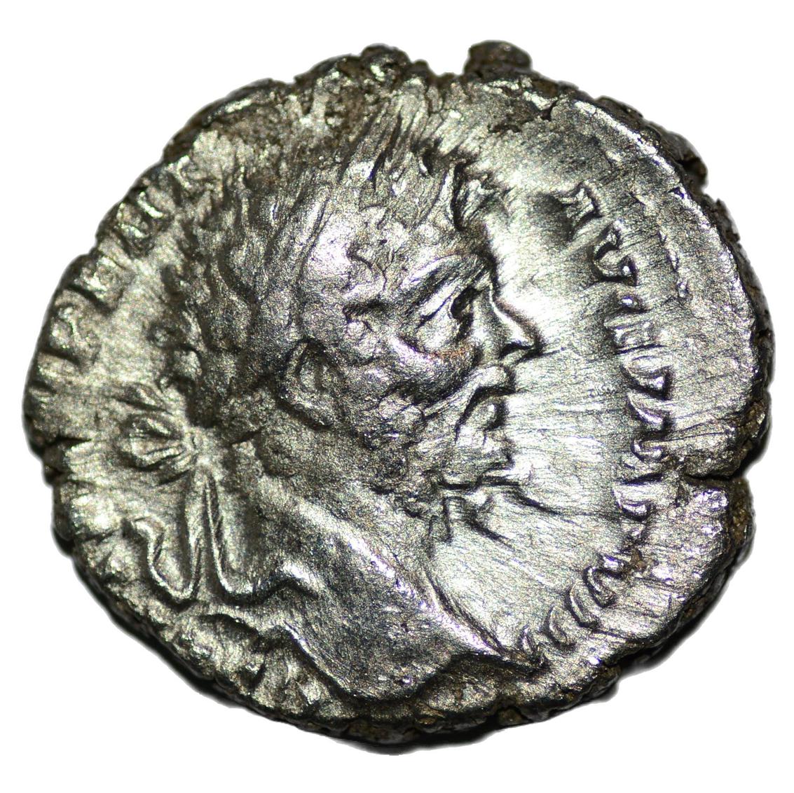 Septimius Severus 193 - 211AD AR Denarius. Rome. Securitas Publica - Premium Ancient Coins - denarius