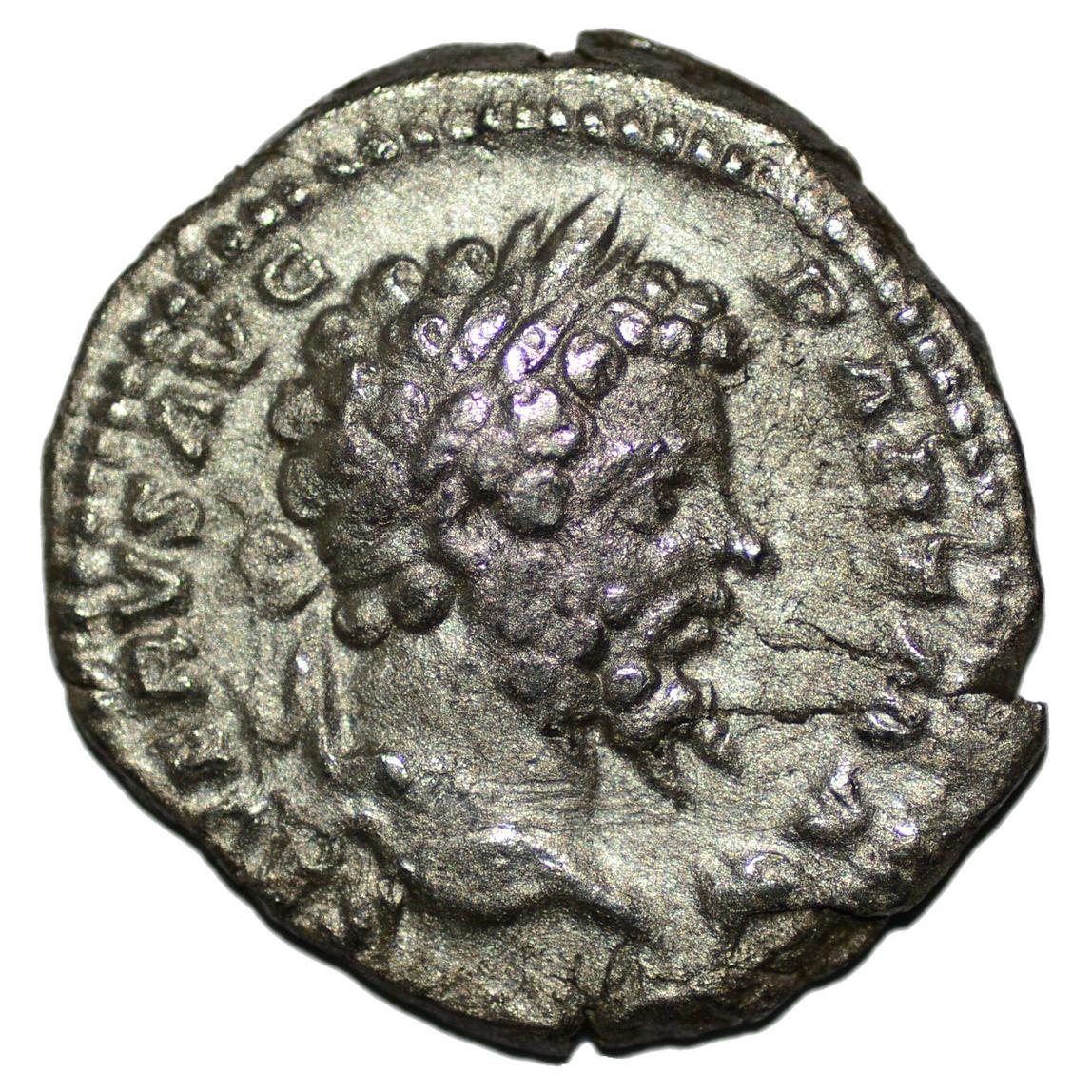 Septimius Severus 193 - 211AD AR Denarius. Rome. Victory - Premium Ancient Coins - denarius