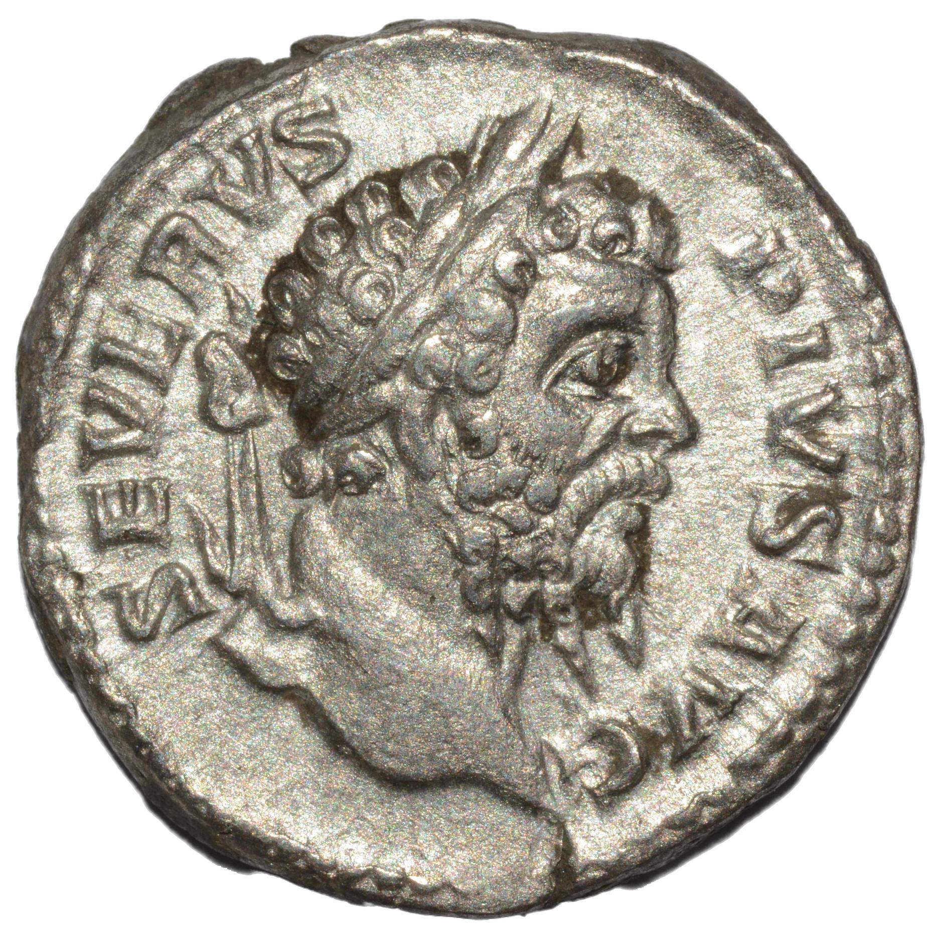 Septimius Severus 193 - 211AD AR Denarius. Rome - Premium Ancient Coins - none
