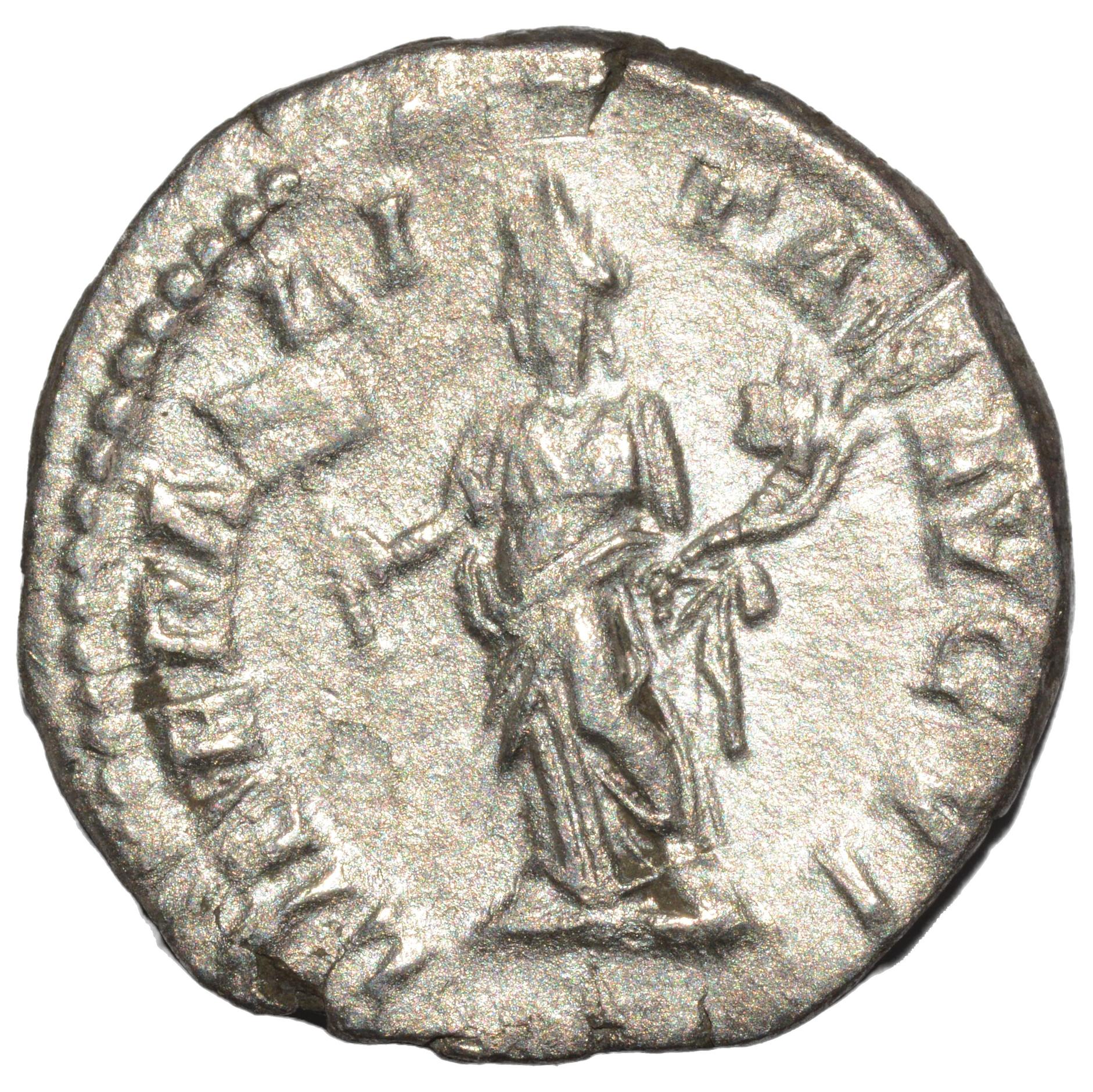Septimius Severus 193 - 211AD AR Denarius. Rome - Premium Ancient Coins - none
