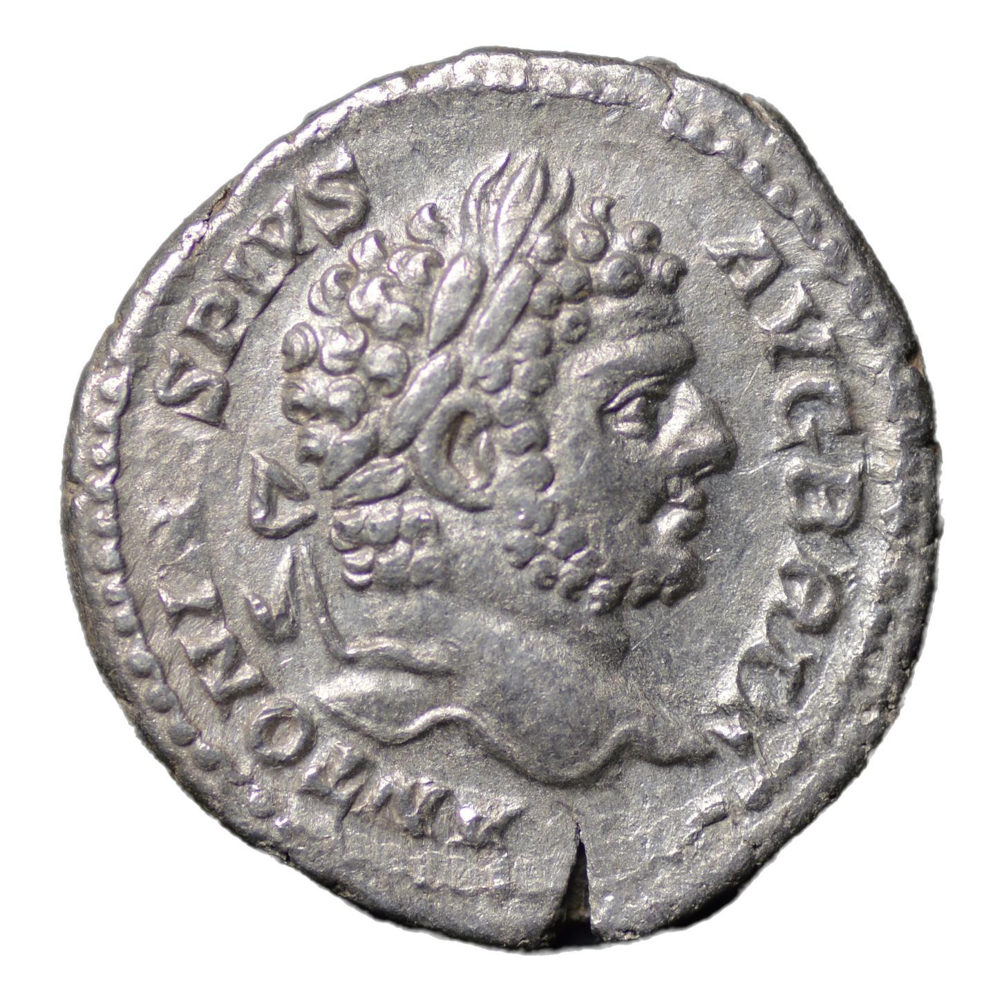 Caracalla 198-217AD AR Denarius Rome. Salus feeding Snake - Premium Ancient Coins - denarius