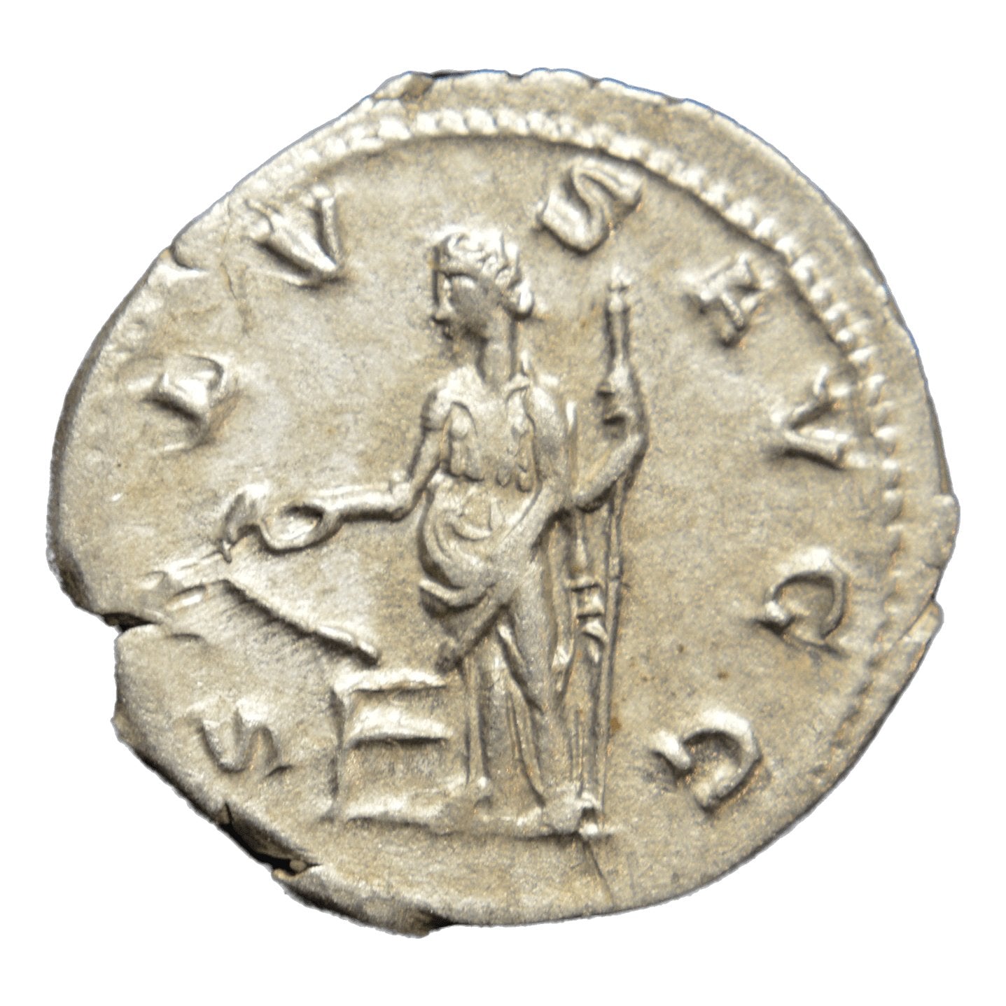 Gallienus 253-268AD AR Antoninianus Rome. SALVS - Premium Ancient Coins - Antoninianus