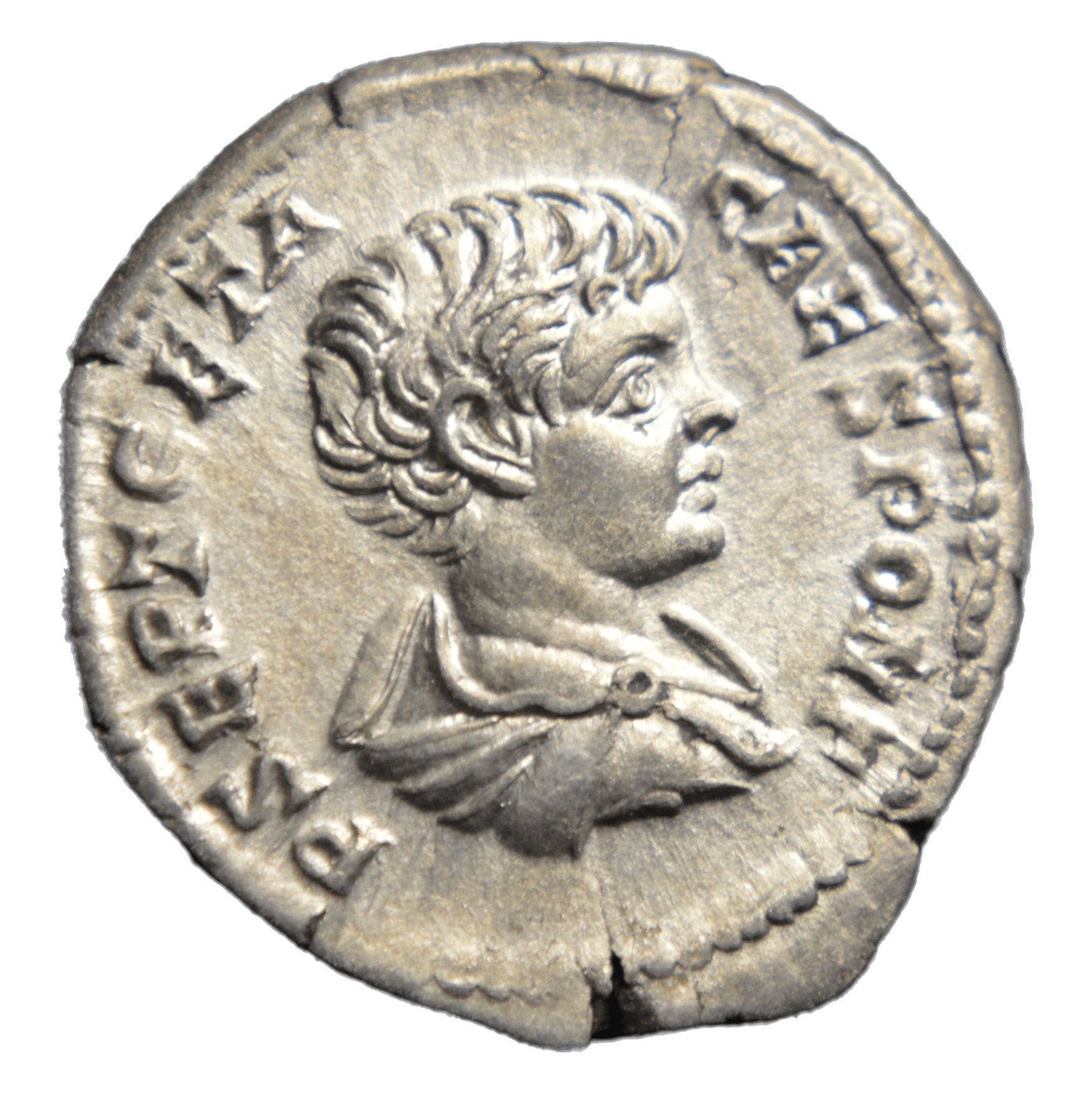 Geta 209-11AD AR Denarius Roman SILVER COIN - Premium Ancient Coins - Denarius