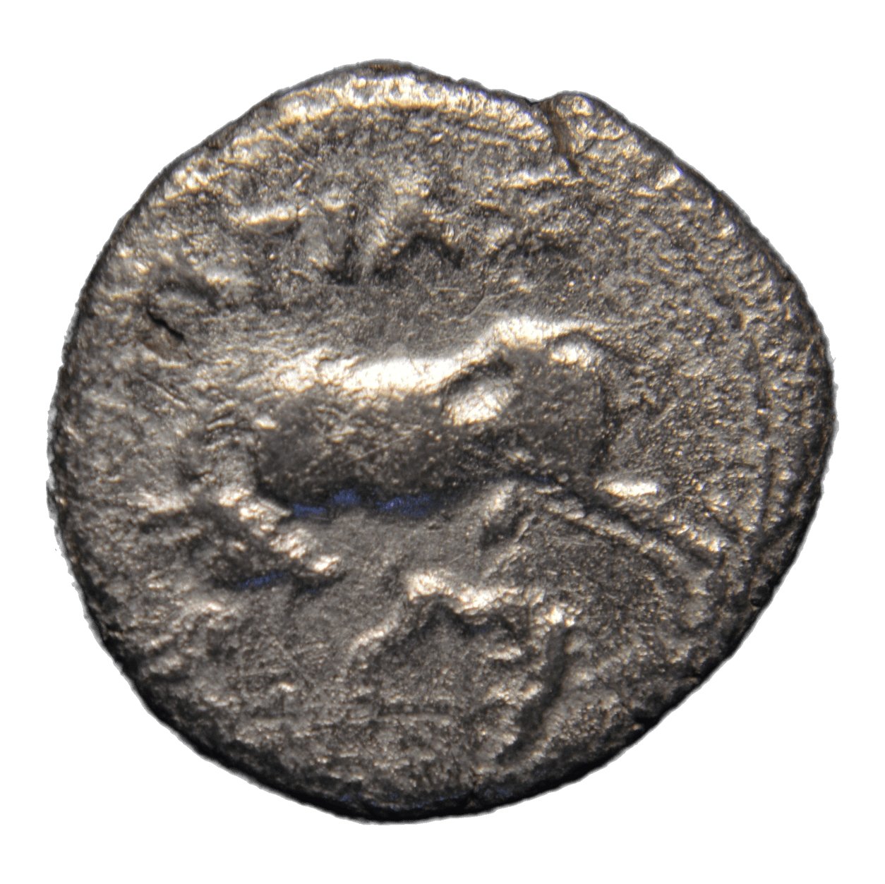 Illyrian Greek Coin 229-48BC Apollonia AR Drachm - Premium Ancient Coins - drachm