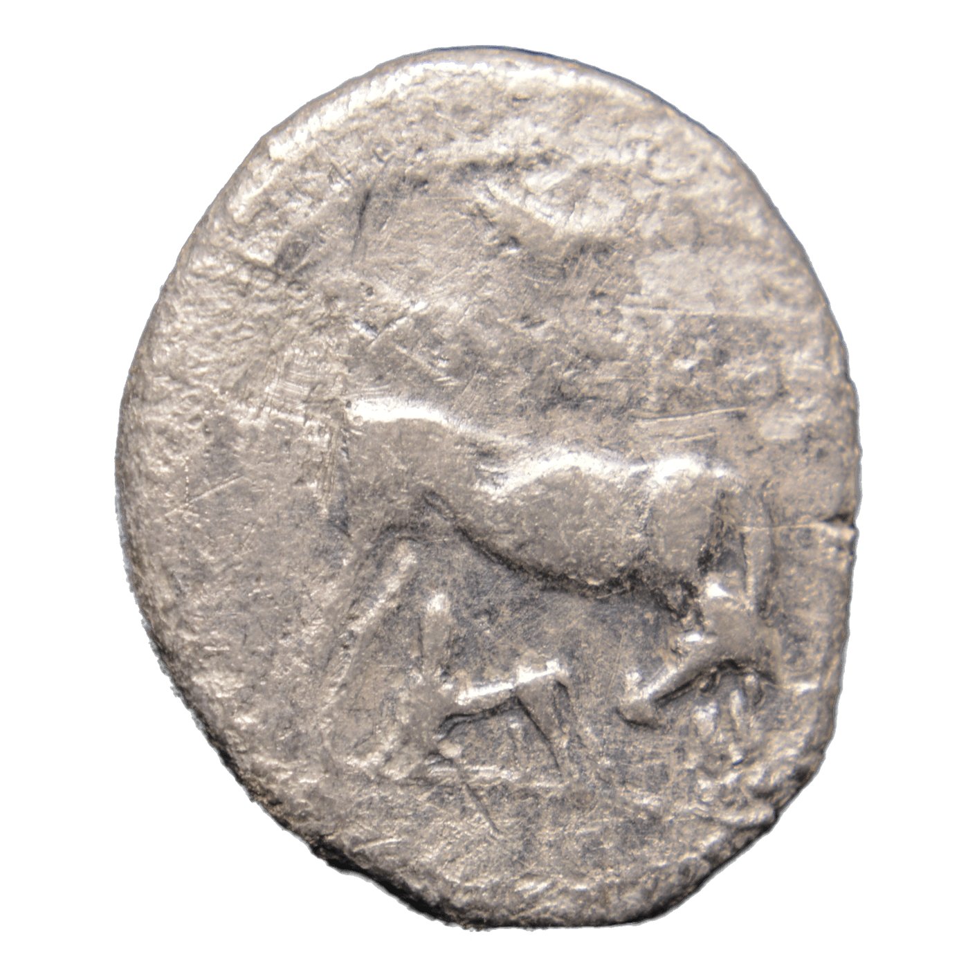 Illyrian Greek Coin 229-48BC Apollonia AR Drachm - Premium Ancient Coins - drachm