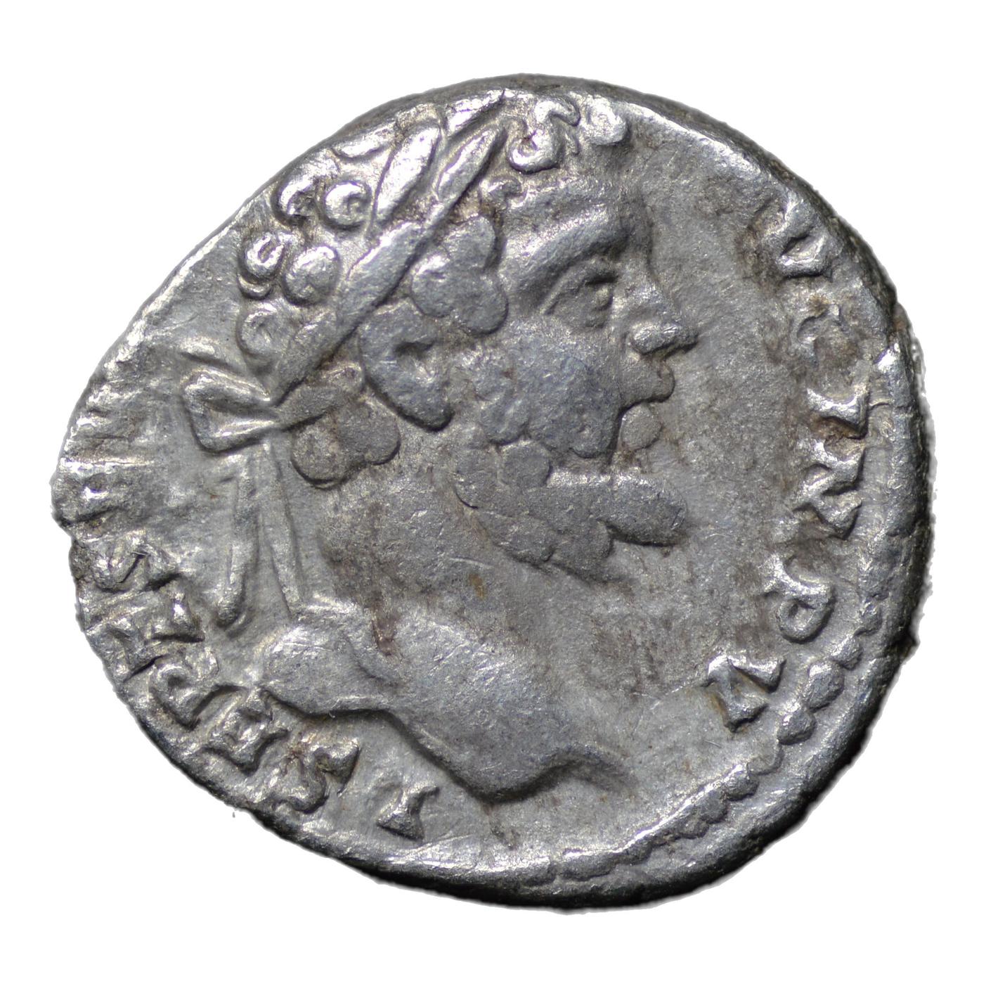 Septimius Severus 193-211AD AR Denarius Rome. Minerva - Premium Ancient Coins - denarius