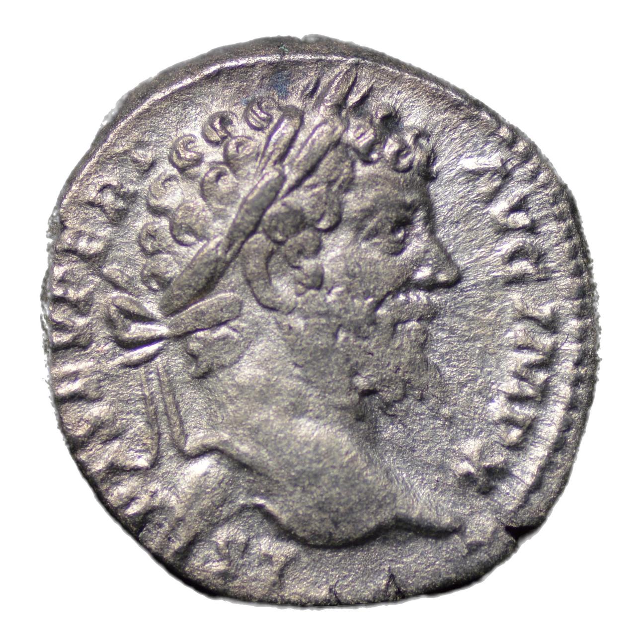Septimius Severus 193-211AD AR Denarius Rome. - Premium Ancient Coins - denarius