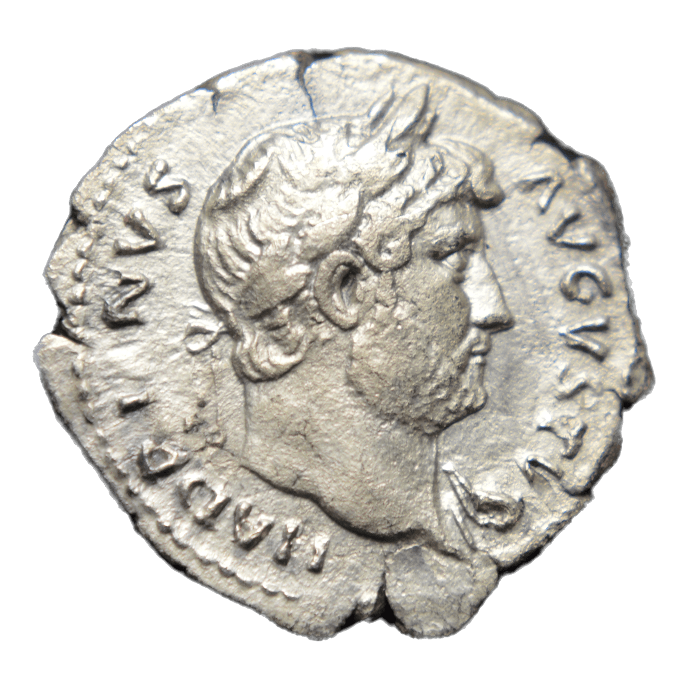 Denarius - Premium Ancient Coins