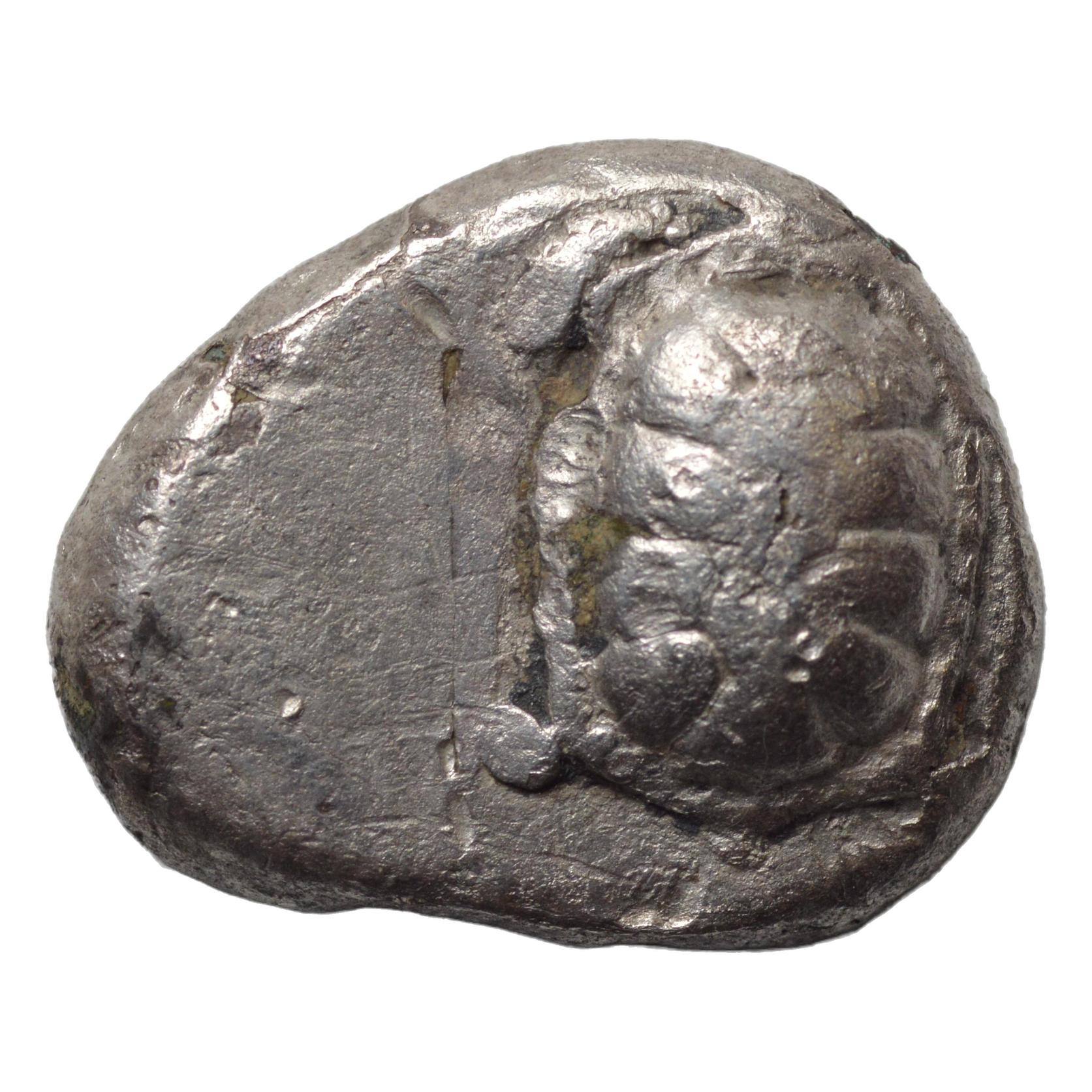 Attica, Aegina. 445-430BC AR Stater (Fourée?) - Premium Ancient Coins - none