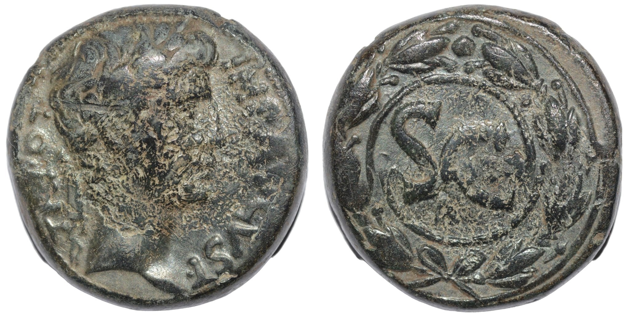 Augustus 27BC - 14AD AE As Provincial. Selucis & Piera Antioch - Premium Ancient Coins - As