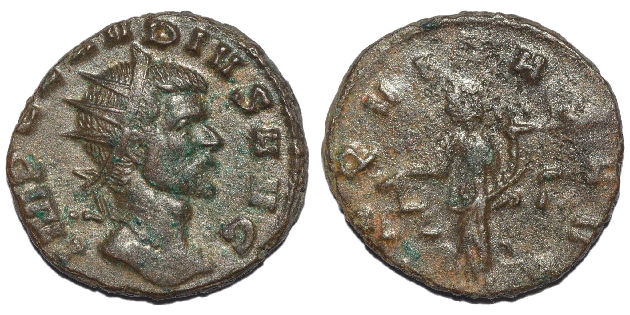 Claudius Gothicus 268 - 270. AE Antoninianus. Aequitas - Premium Ancient Coins - Antoninianus