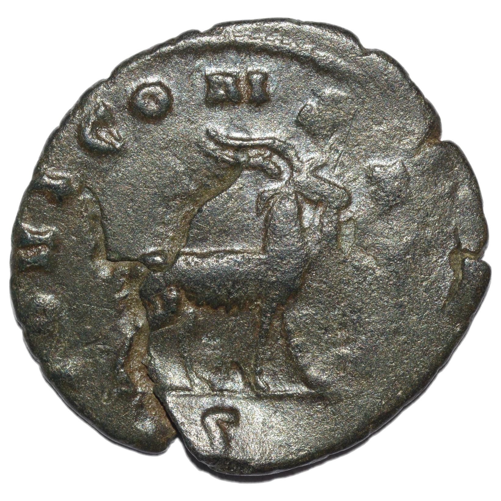 Gallienus 260 - 268AD AE Antoninianus. Goat - Premium Ancient Coins - none