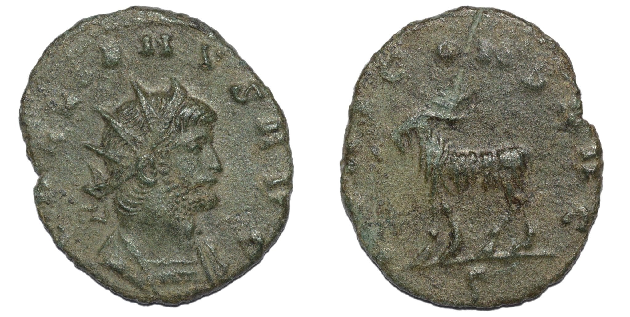 Gallienus 260 - 268AD AE Antoninianus. Goat - Premium Ancient Coins - none