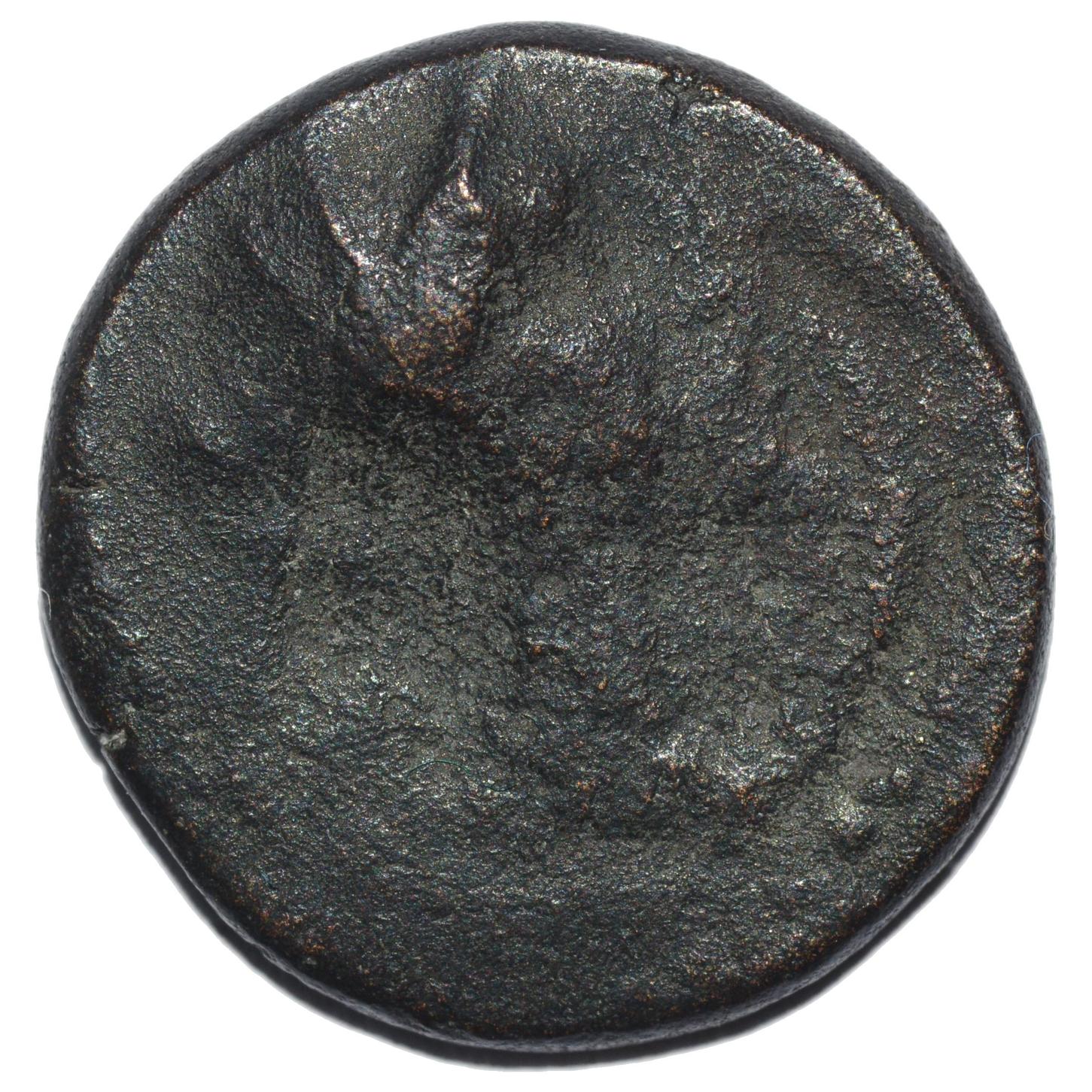 Seleukid Kingdom. 175 - 164BC Antiochos IV AE14 Elephant - Premium Ancient Coins - none