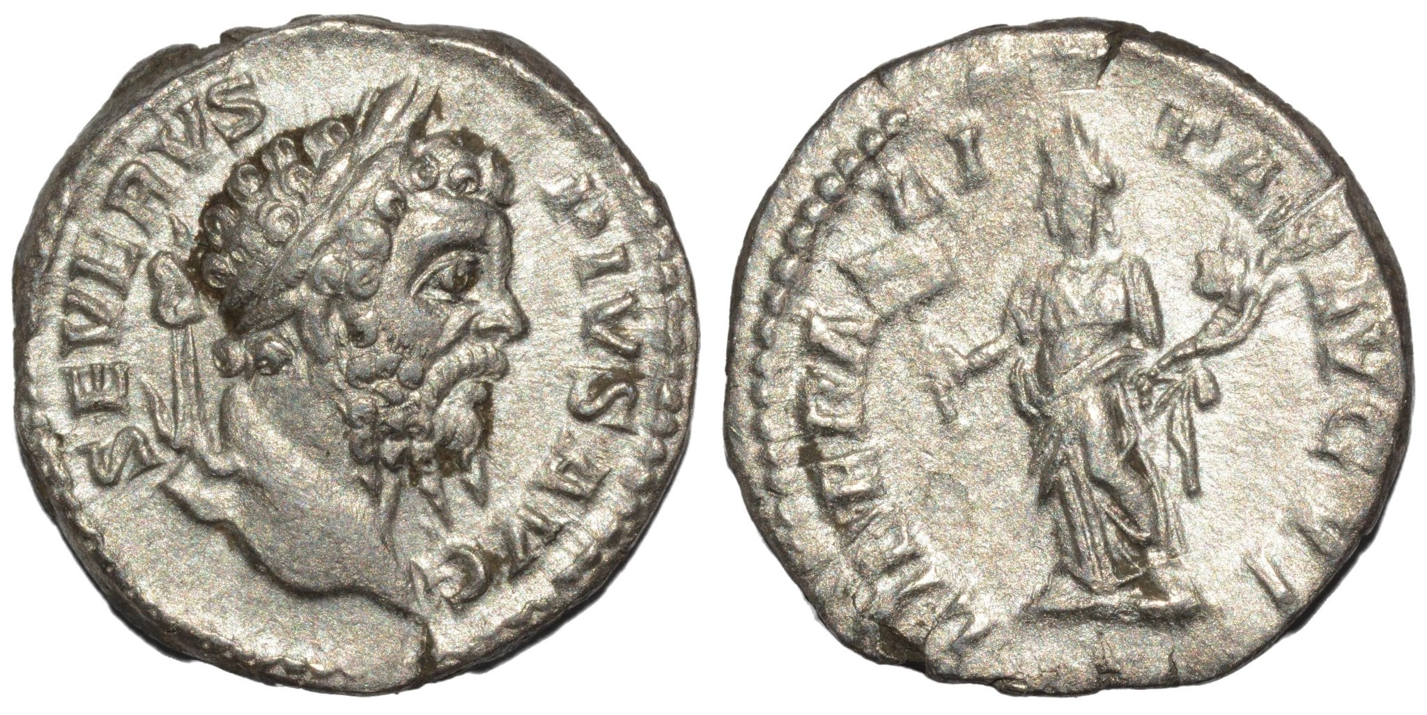 Septimius Severus 193 - 211AD AR Denarius. Rome - Premium Ancient Coins - none