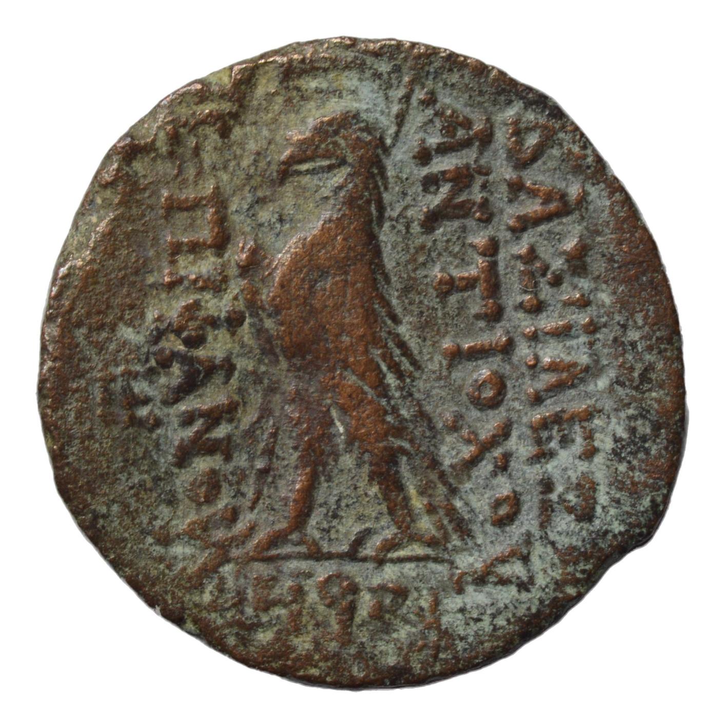 Antiochos VIII. Epiphanes. 109-96 BC. Antioch - Premium Ancient Coins - Greek Bronze