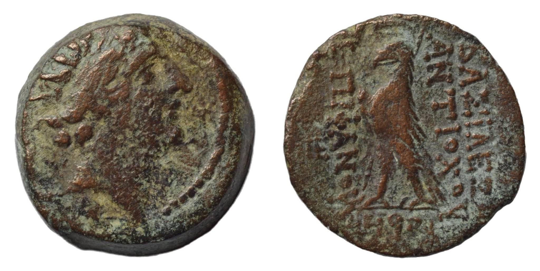Antiochos VIII. Epiphanes. 109-96 BC. Antioch - Premium Ancient Coins - Greek Bronze