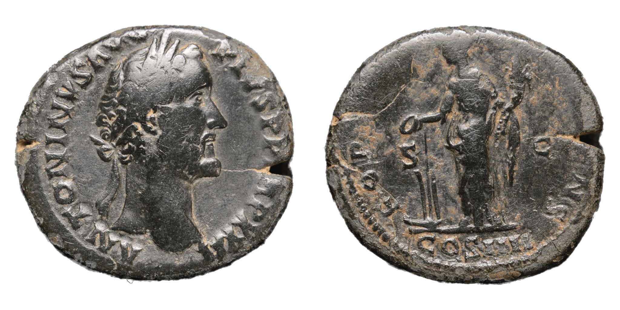 Antoninus Pius 138-161AD AE Sestertius - FORTVNA - Premium Ancient Coins - Sestertius