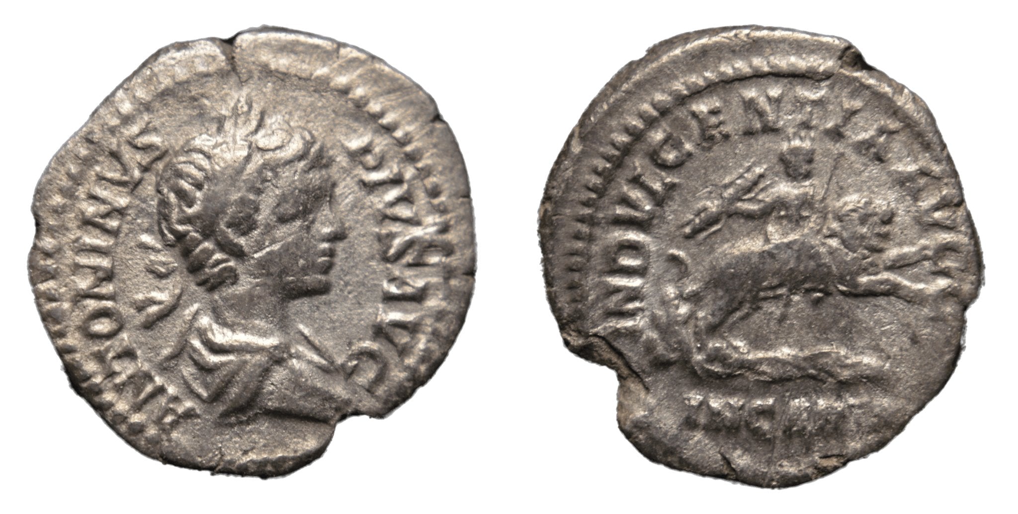 Caracalla 198-217AD AR Denarius Rome. Dea Caelestis on Lion - Premium Ancient Coins - denarius