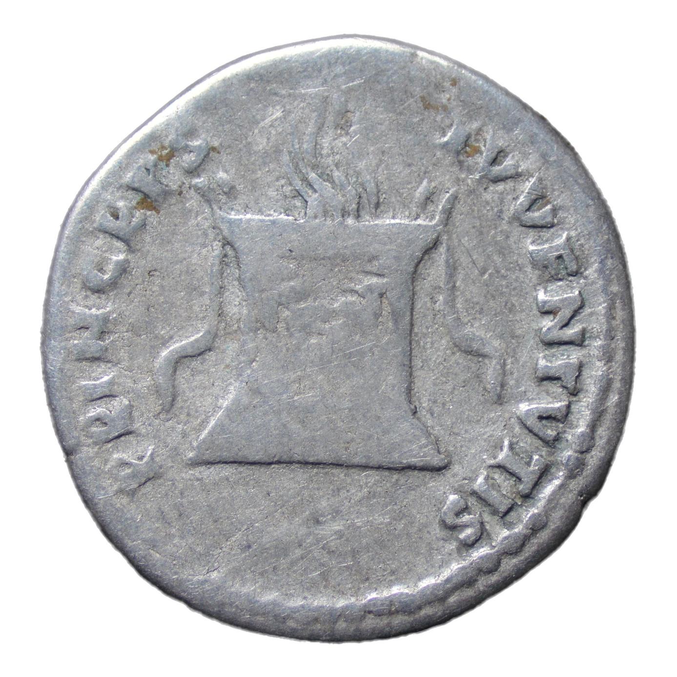 Domitian 69-81AD. AR Denarius Rome. Princeps Jeventus - Premium Ancient Coins - denarius