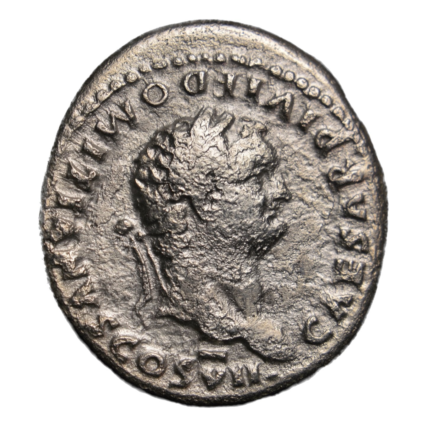 Domitian 69-81AD Denarius Rome. Cretan Goat - Premium Ancient Coins - Denarius