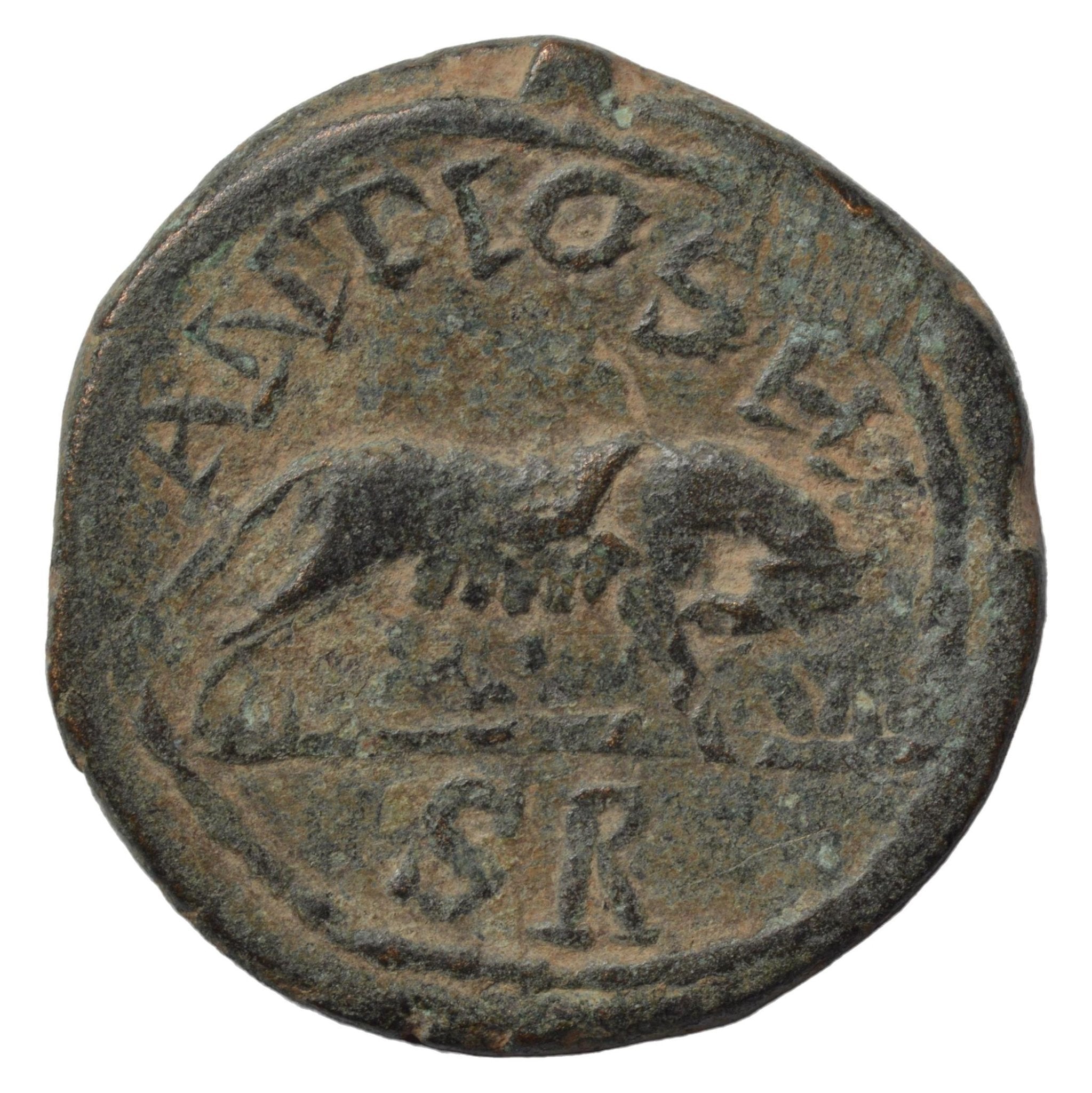 Gallienus 253-268AD AE Bronze Provincial. Antioch. She-wolf - Premium Ancient Coins - As