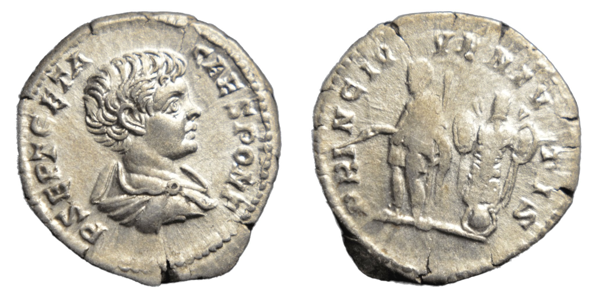 Geta 209-11AD AR Denarius Roman SILVER COIN - Premium Ancient Coins - Denarius