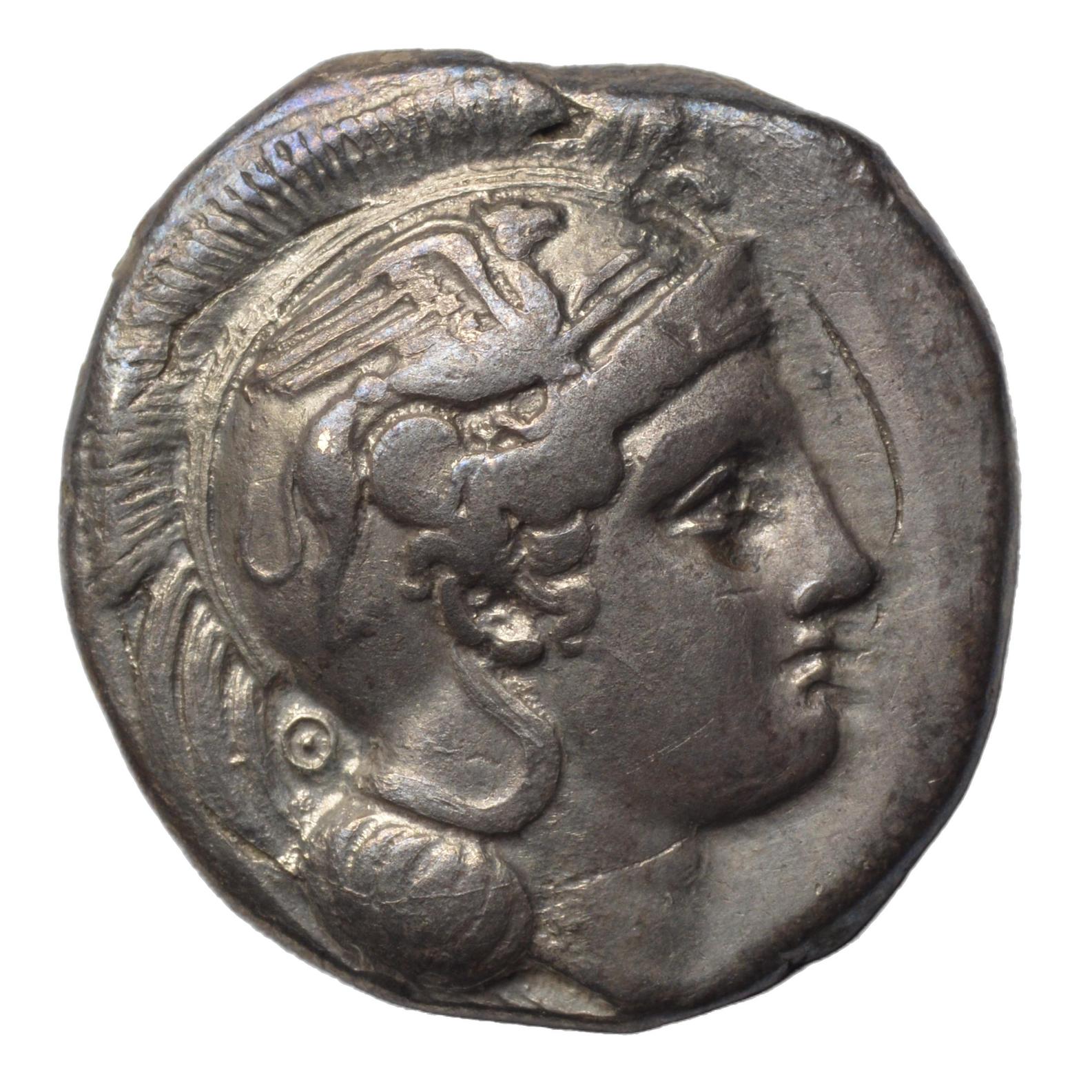 Lucania. Velia. 340-334BC. Didrachm. Athena & Griffin - Premium Ancient Coins - Didrachm
