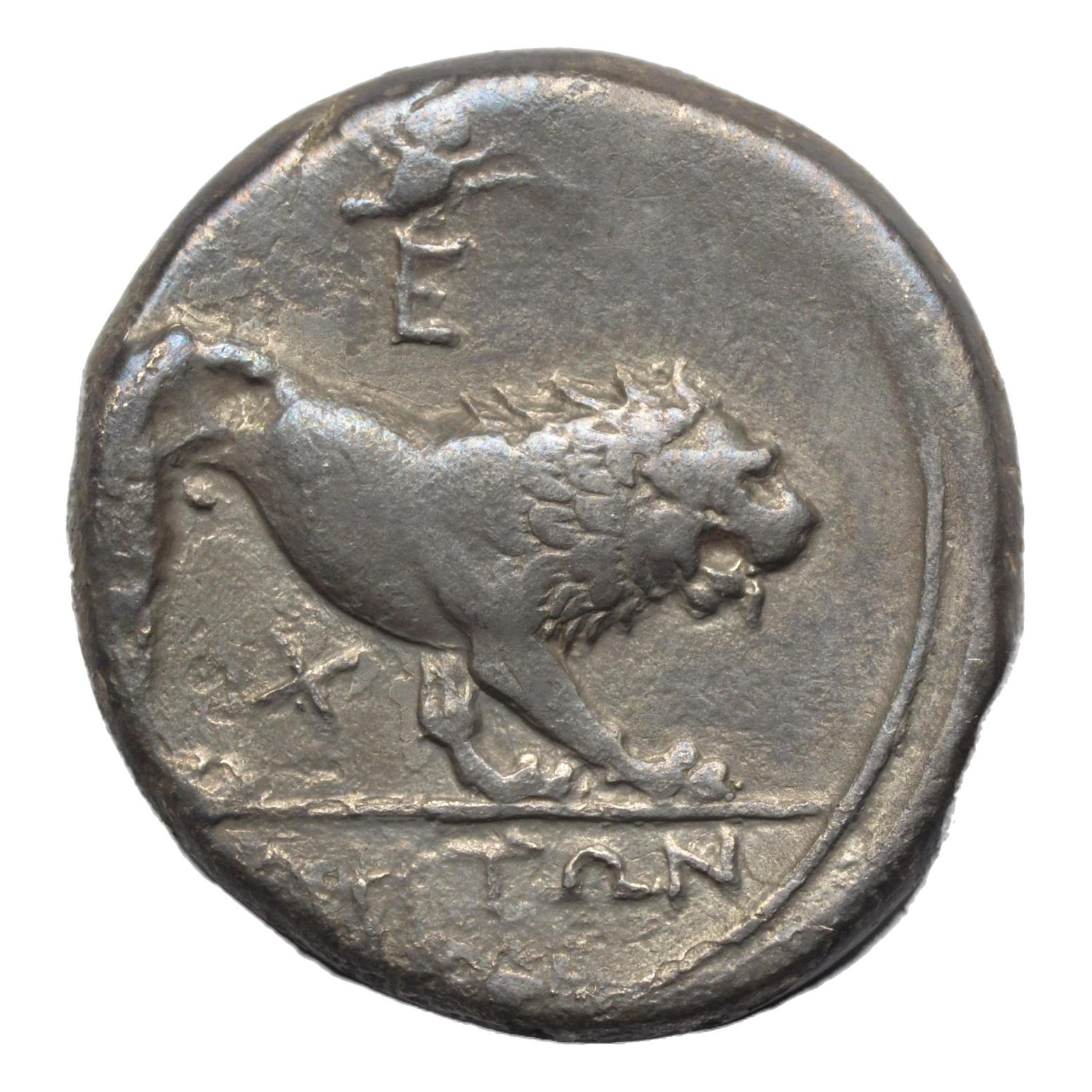 Lucania. Velia. 340-334BC. Didrachm. Athena & Lion - Premium Ancient Coins - Didrachm