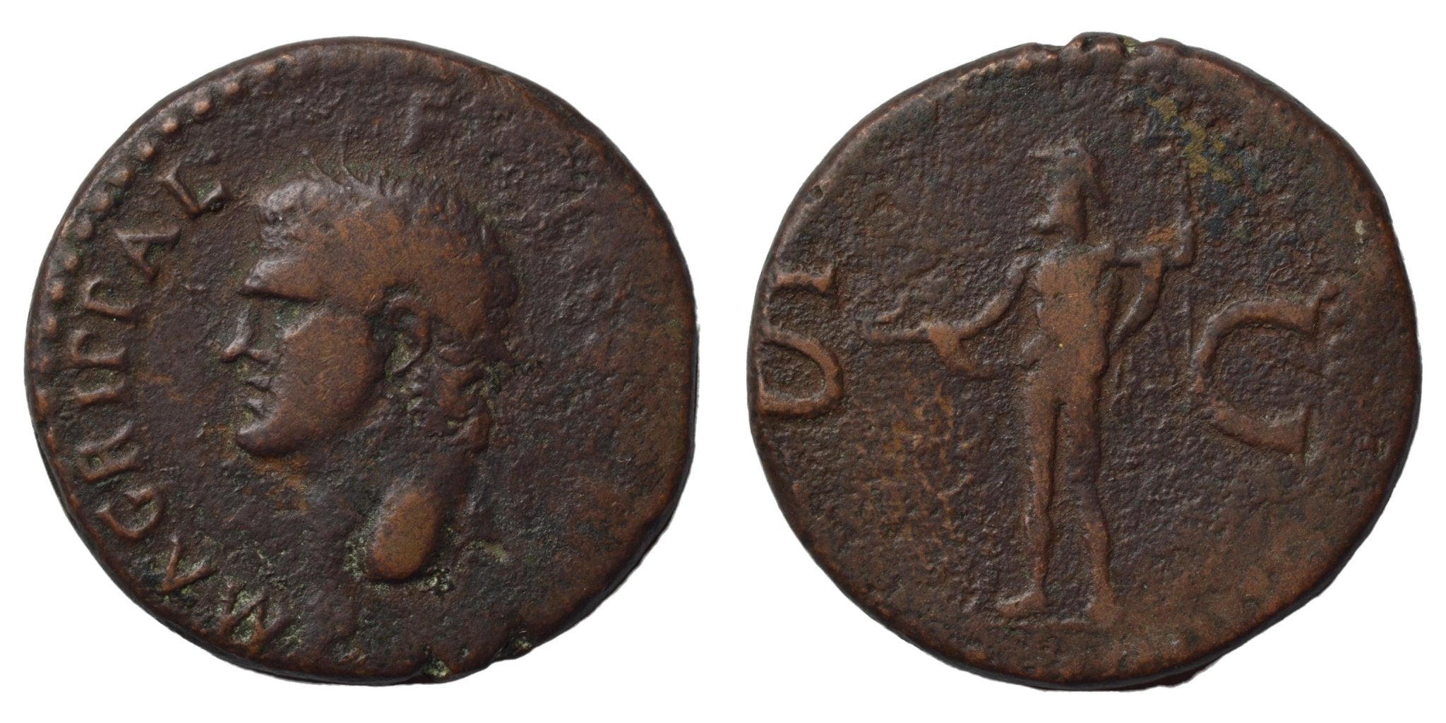 M. Agrippa 63-12BC. AE As. Under Caligula. Neptune - Premium Ancient Coins - As