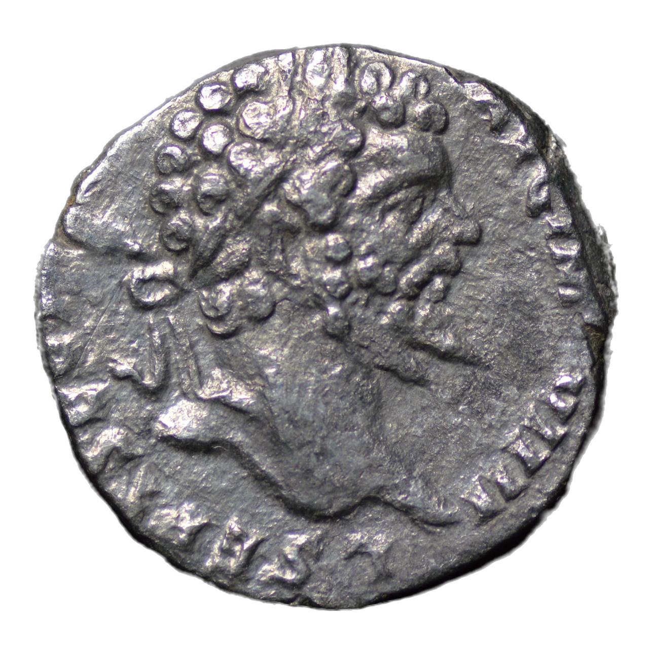 Septimius Severus 193-211AD AR Denarius Rome. Hercules - Premium Ancient Coins - denarius